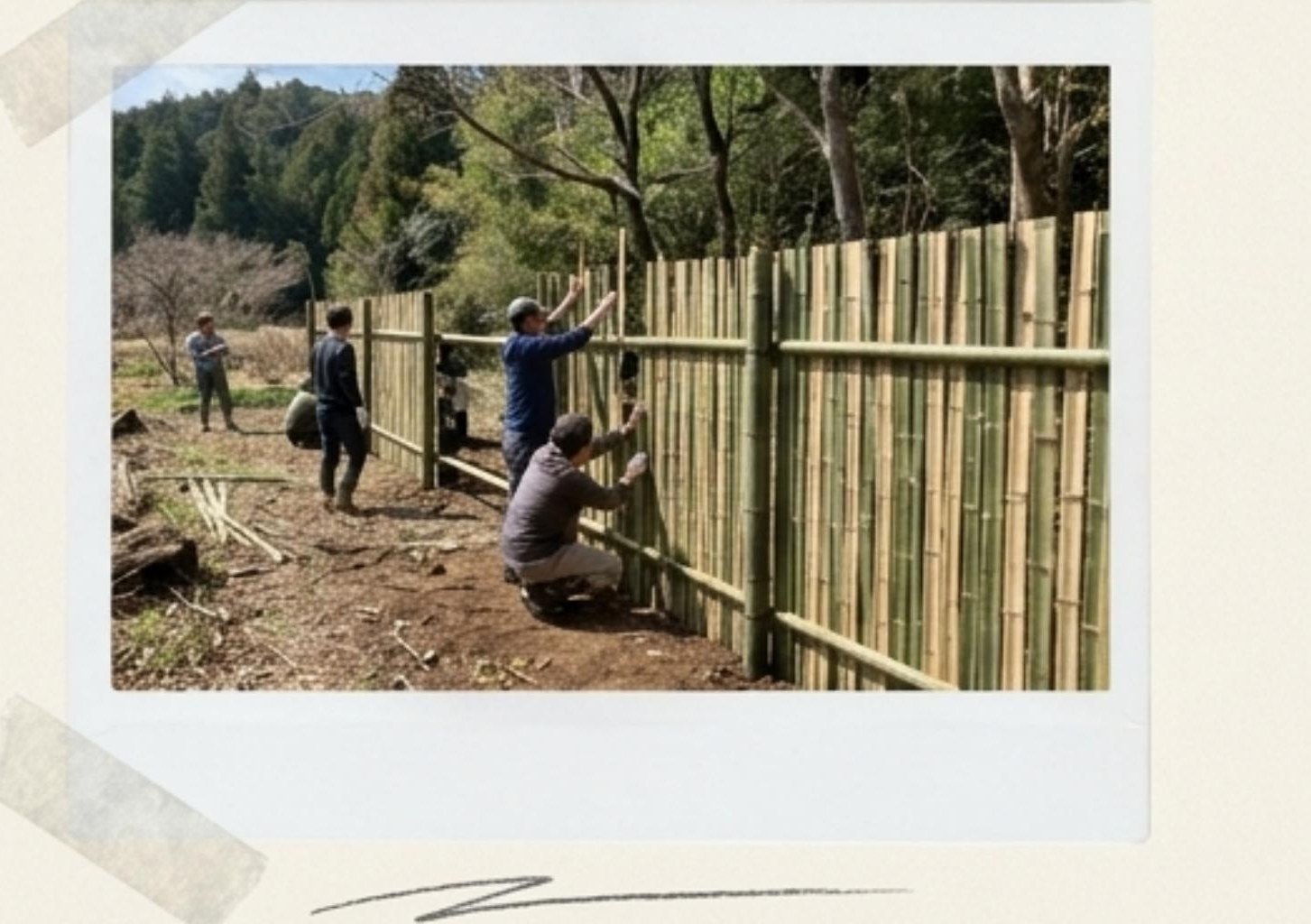 竹垣の防壁